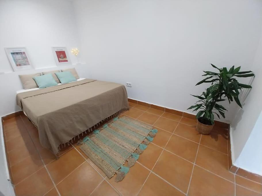 Cala Salions Balandro II Tossa De Mar Apartment Canet De Mar Exterior photo